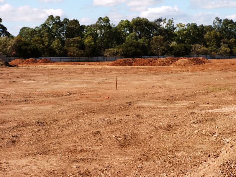 Large-Scale Land Clearing